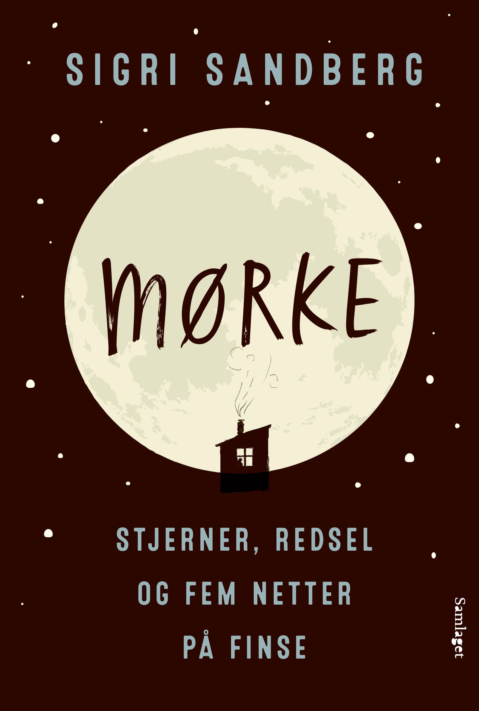 Mørke: stjerner, redsel og fem netter på Finse