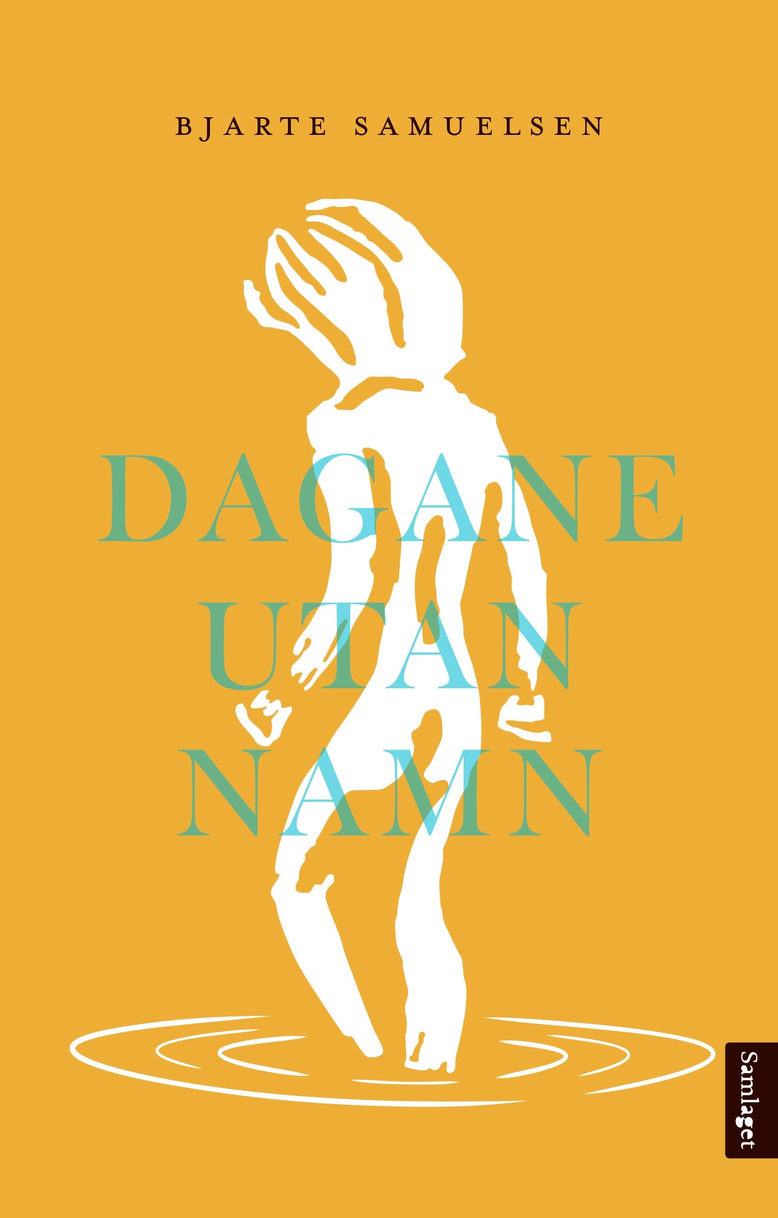 Dagane utan namn: roman