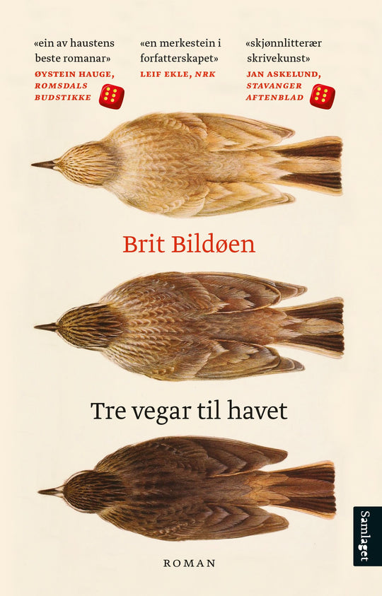 Tre vegar til havet: roman