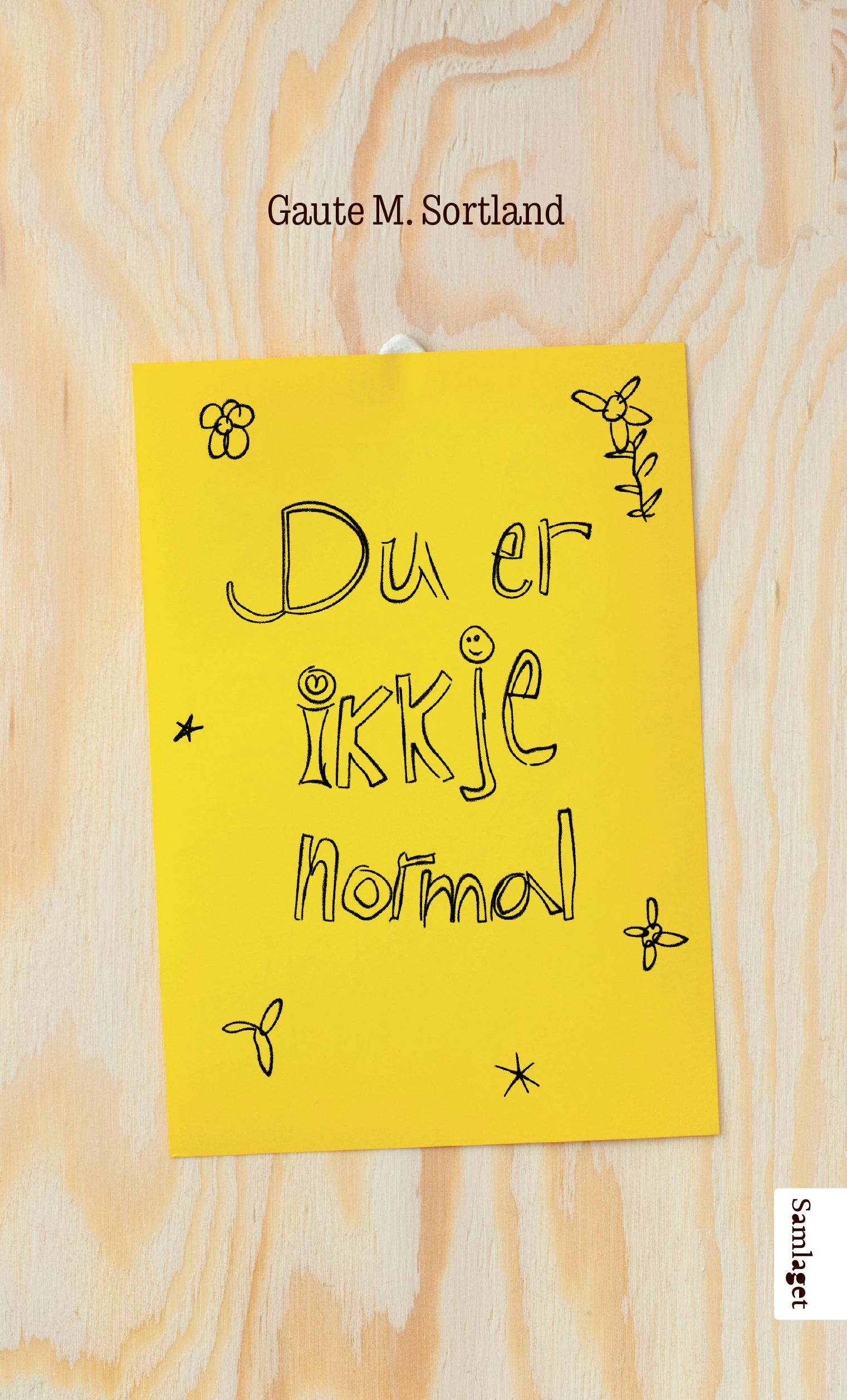 Du er ikkje normal: noveller