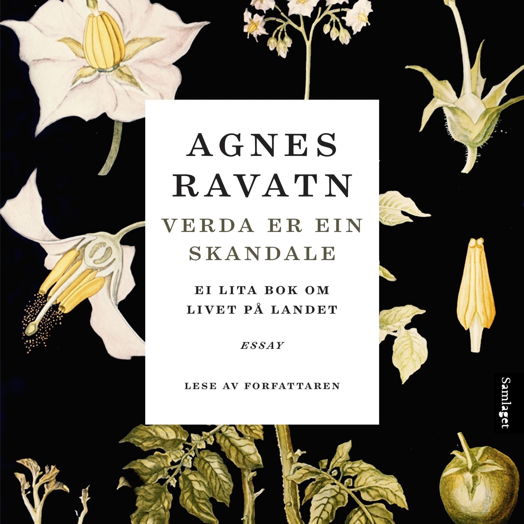 Verda er ein skandale: ei lita bok om livet