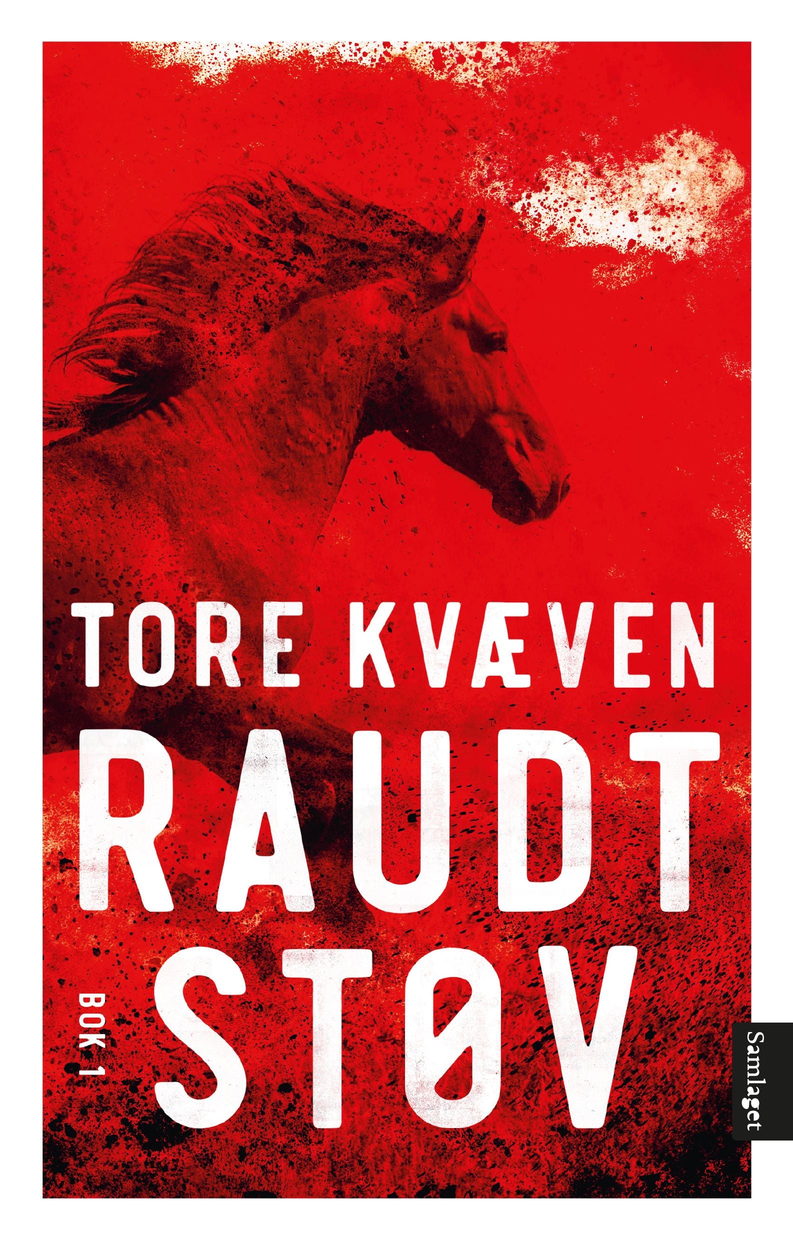 Raudt støv: Bok 1 : roman