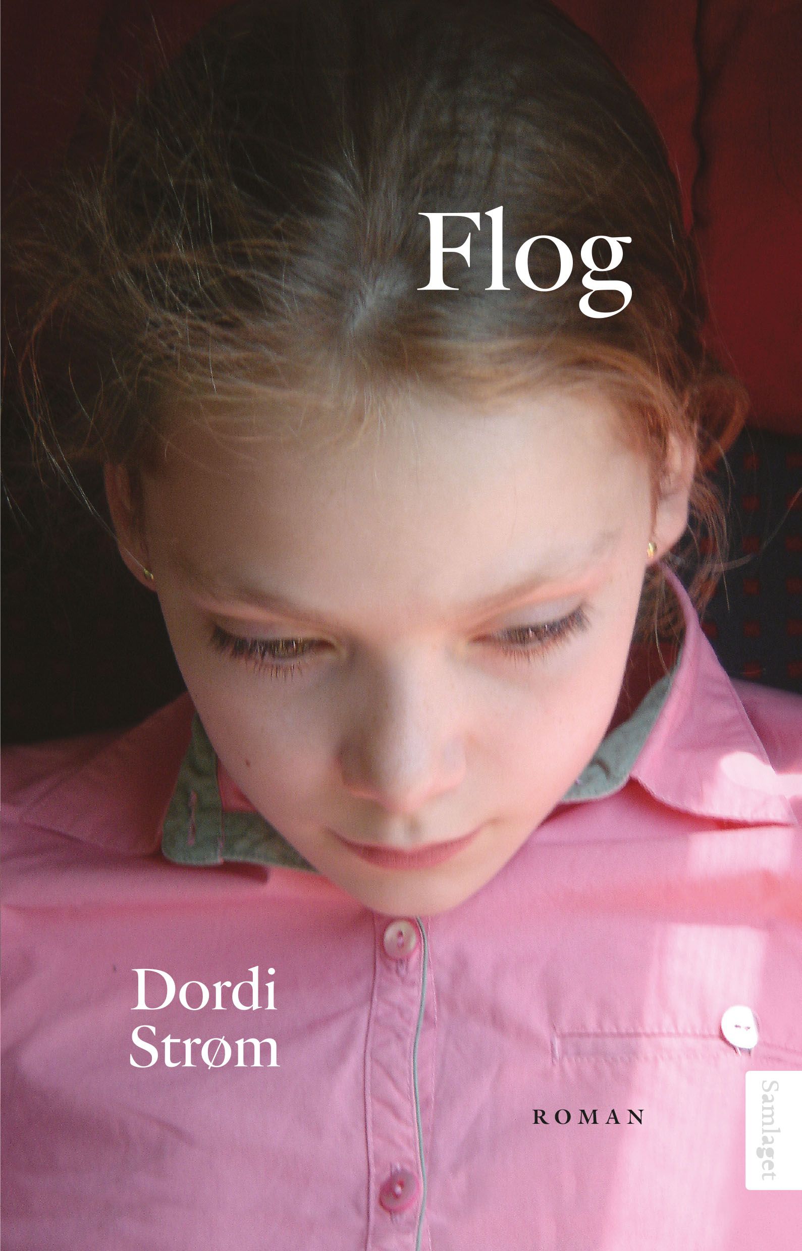 Flog: roman