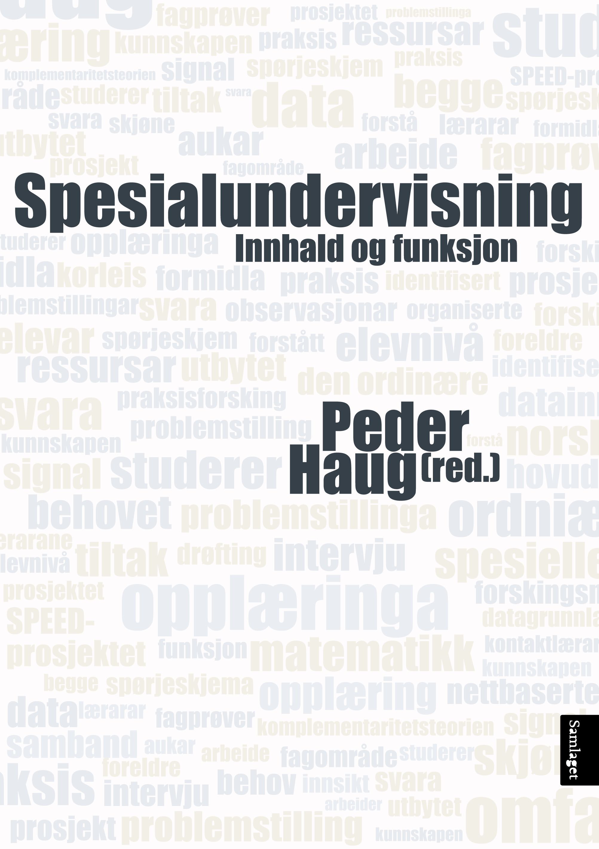 Spesialundervisning: innhald og funksjon