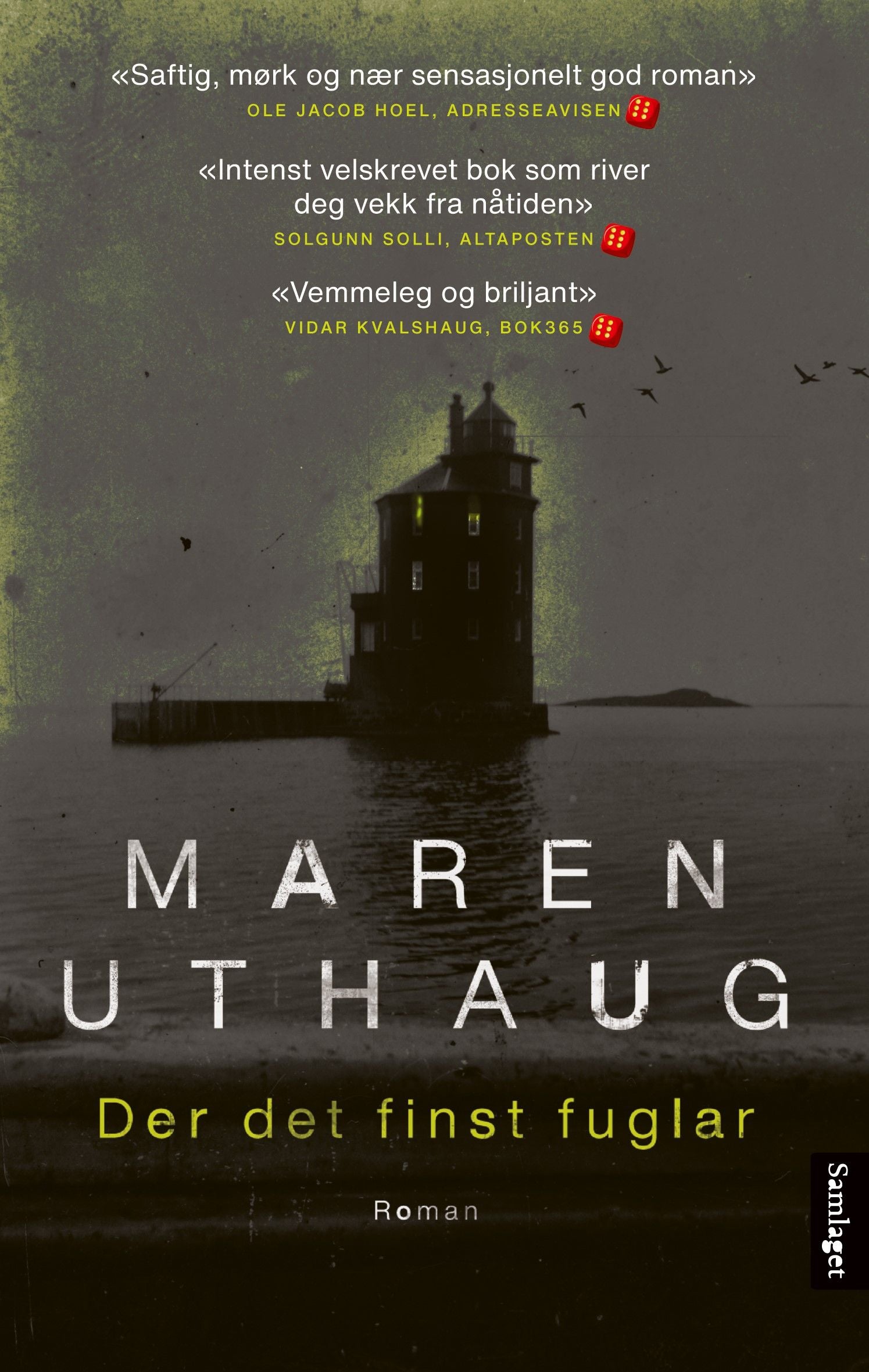 Der det finst fuglar: roman