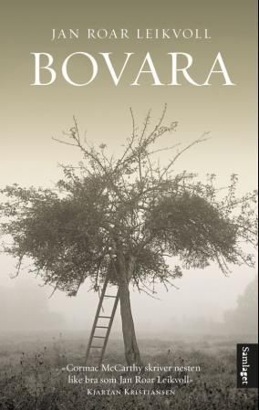 Bovara: roman