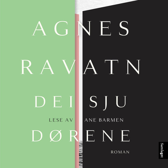 Dei sju dørene: roman