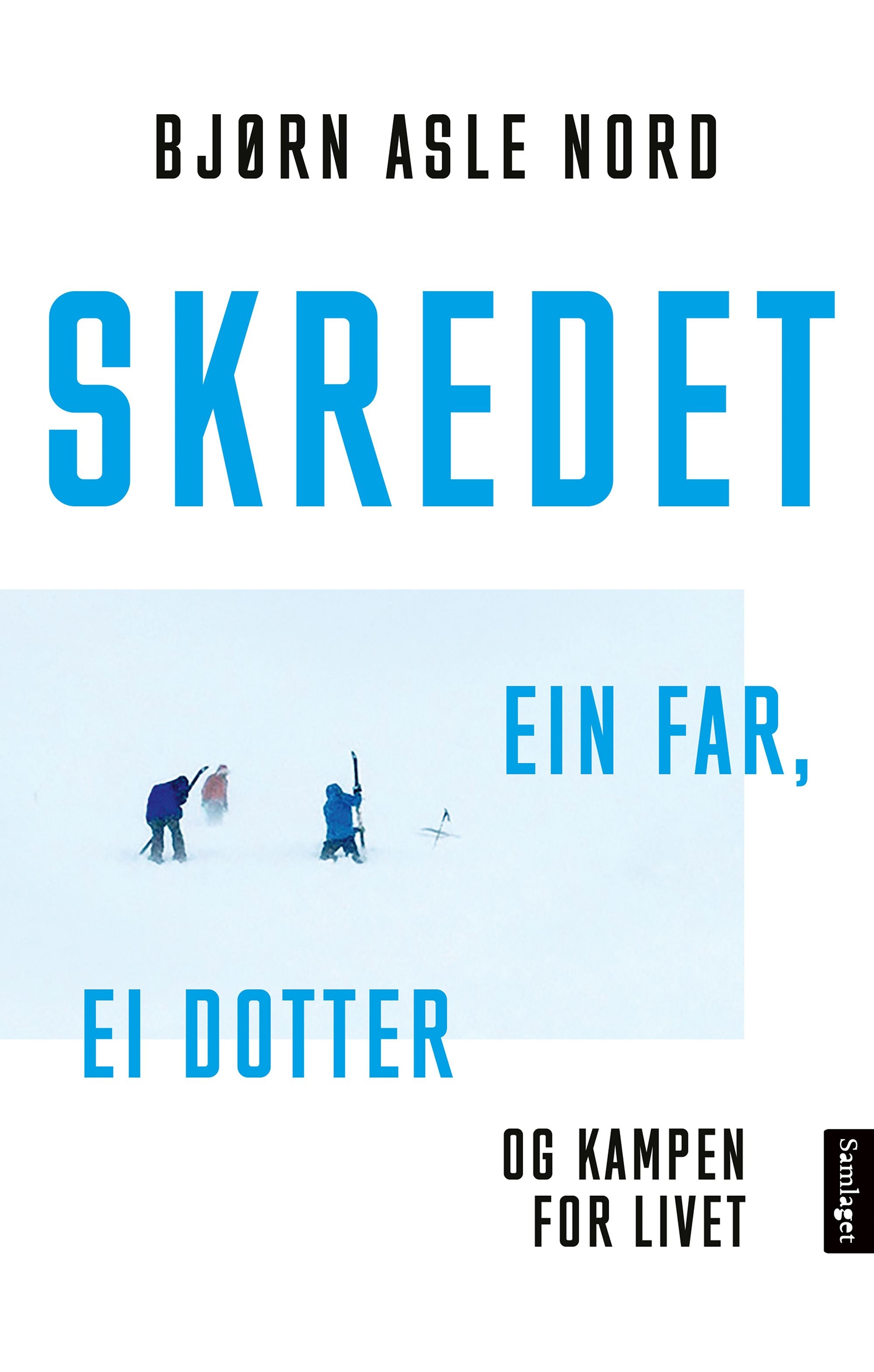 Skredet: ein far, ei dotter og kampen for livet
