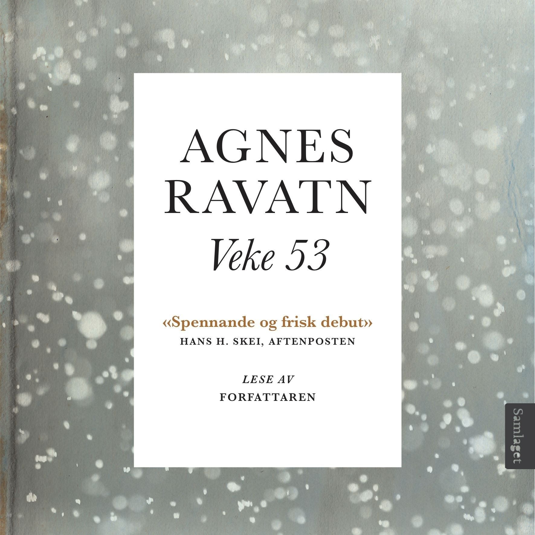 Veke 53: roman