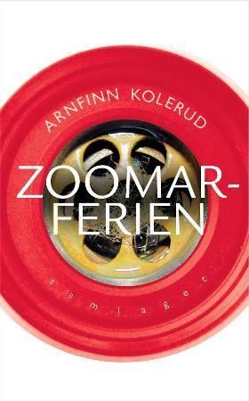 Zoomarferien: roman