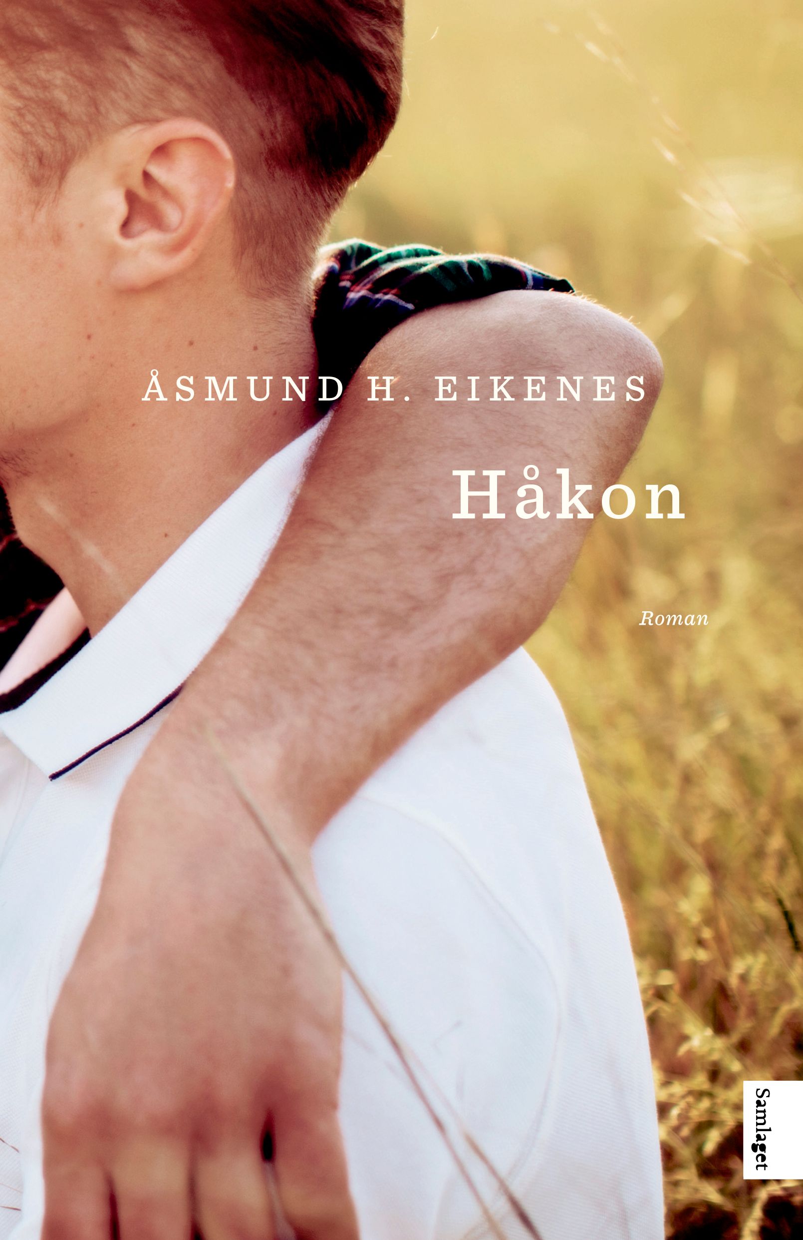 Håkon: roman