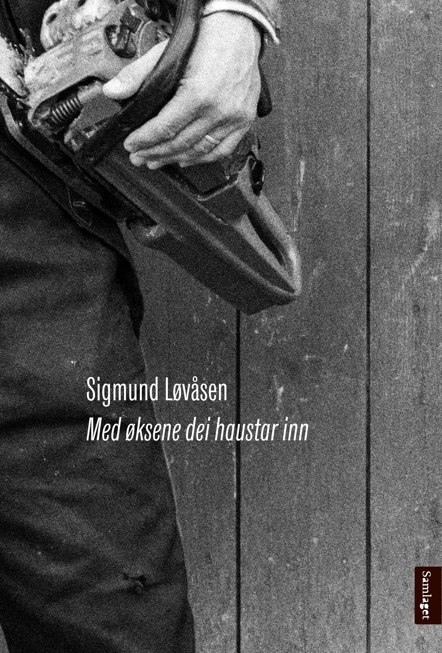 Med øksene dei haustar inn: dikt