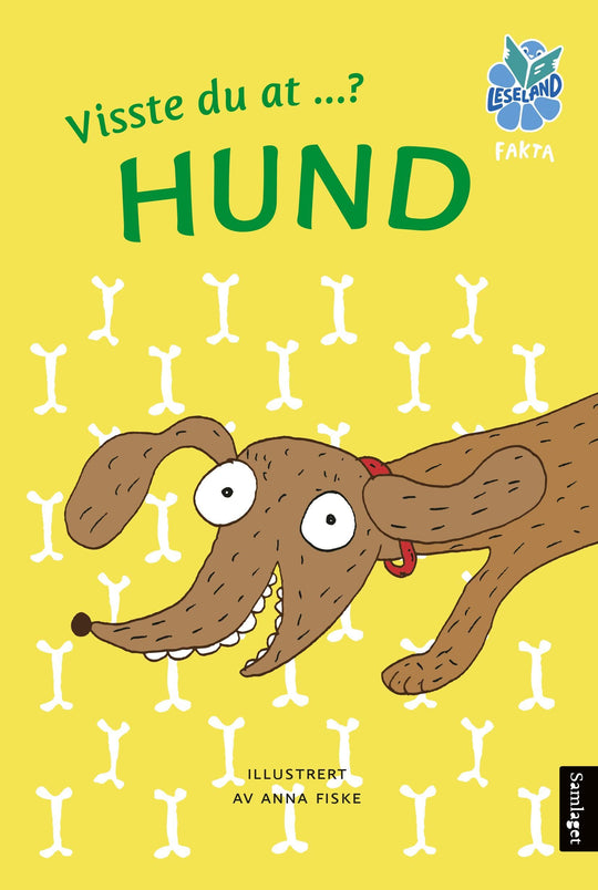 Hund