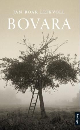 Bovara: roman