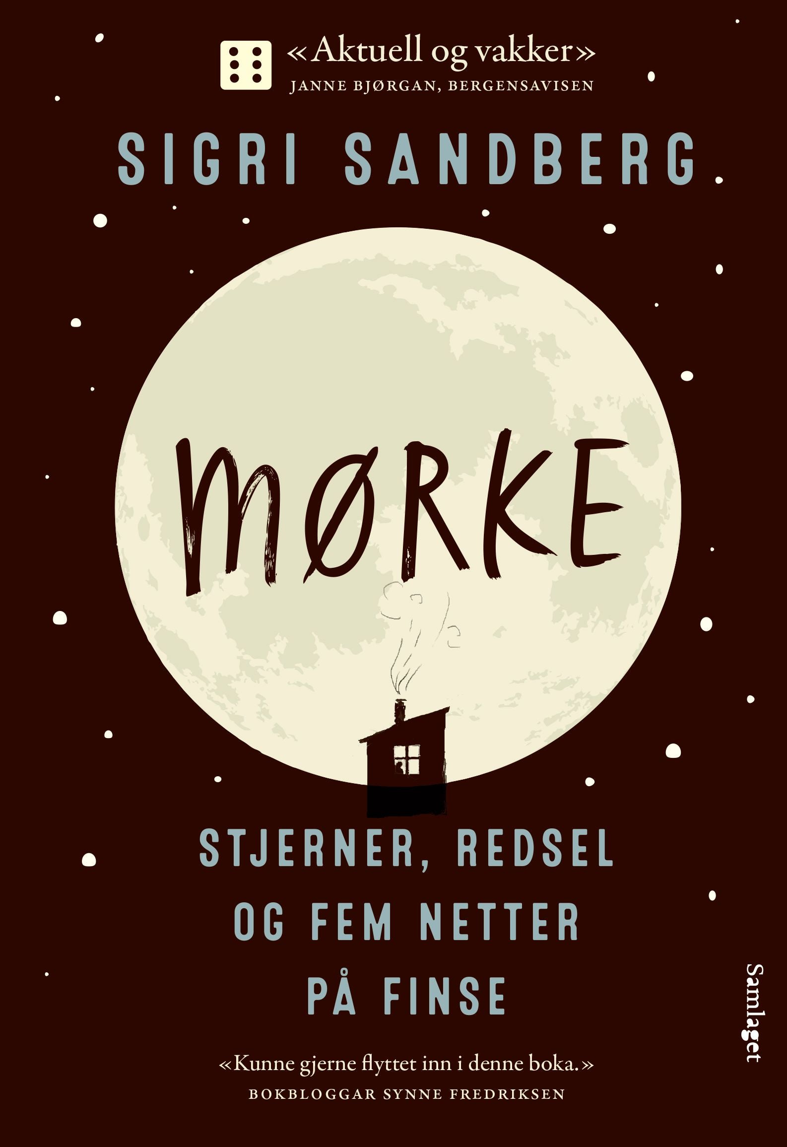 Mørke: stjerner, redsel og fem netter på Finse