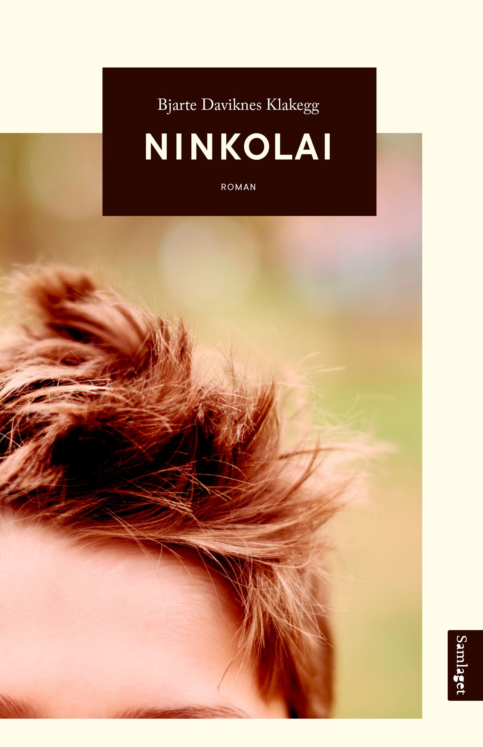 Ninkolai: roman
