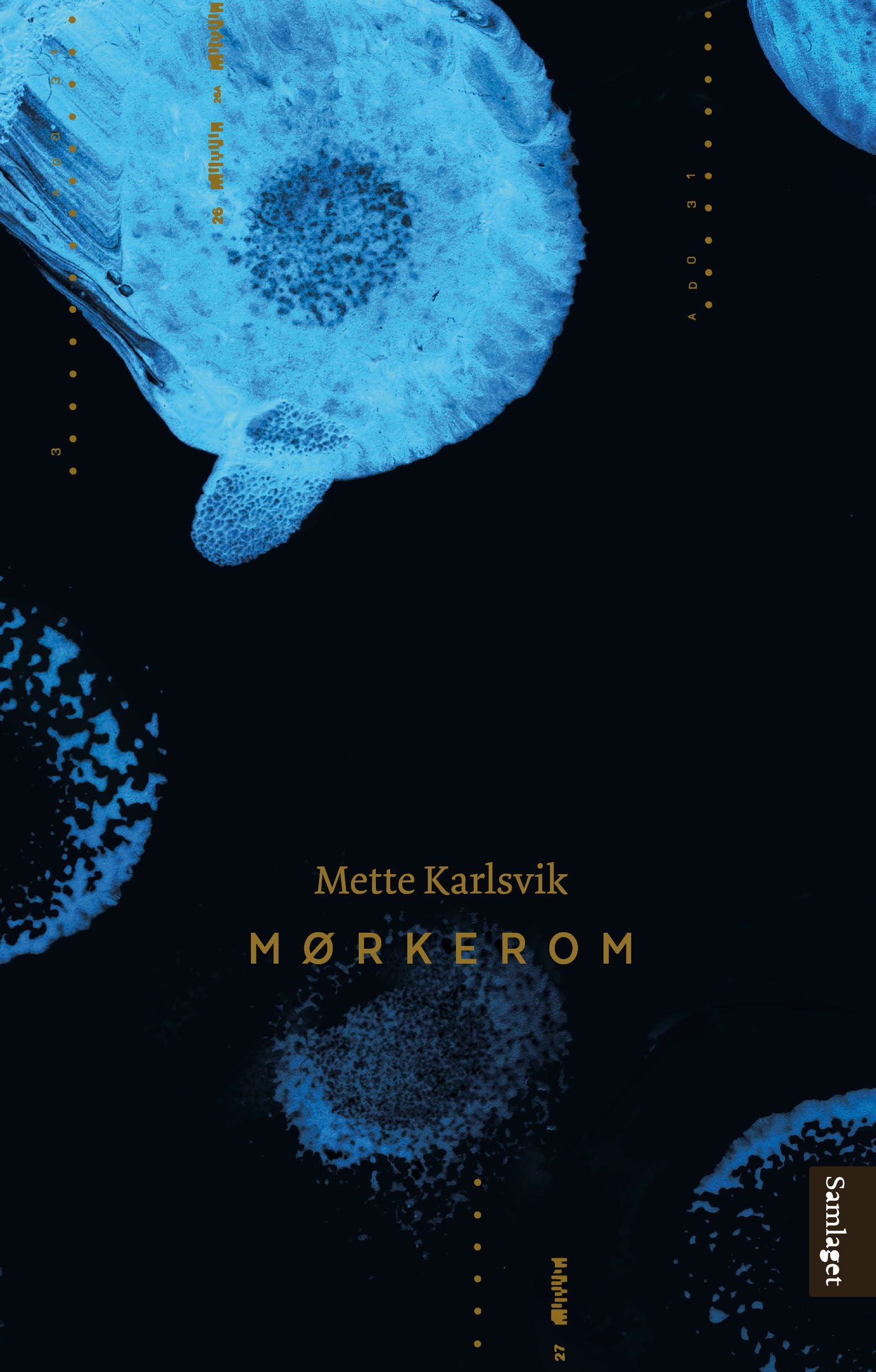 Mørkerom: roman