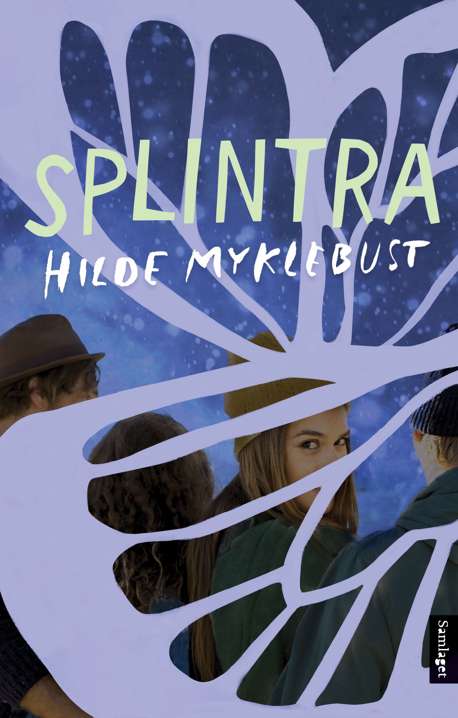 Splintra: roman