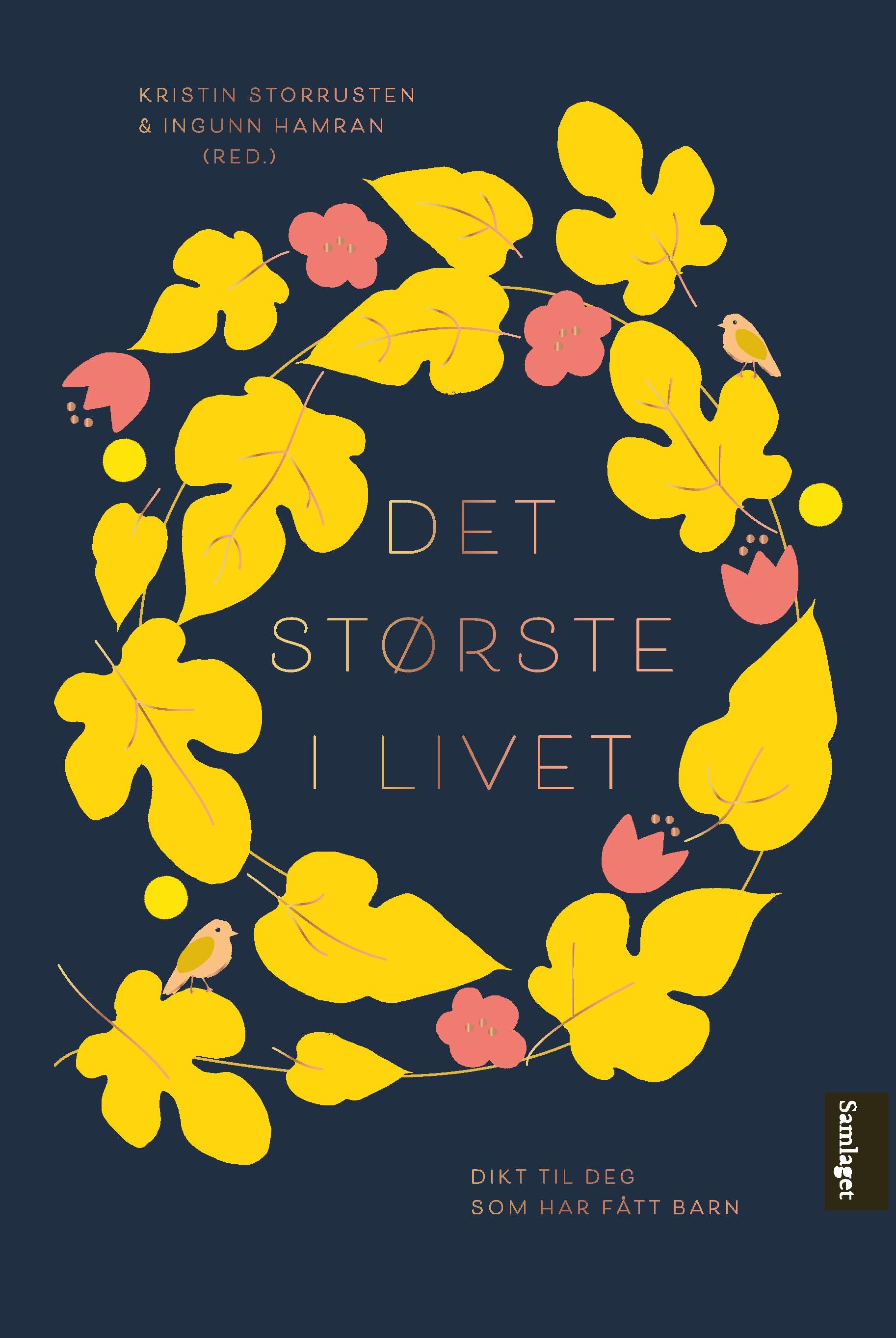 Det største i livet: dikt til nye foreldre