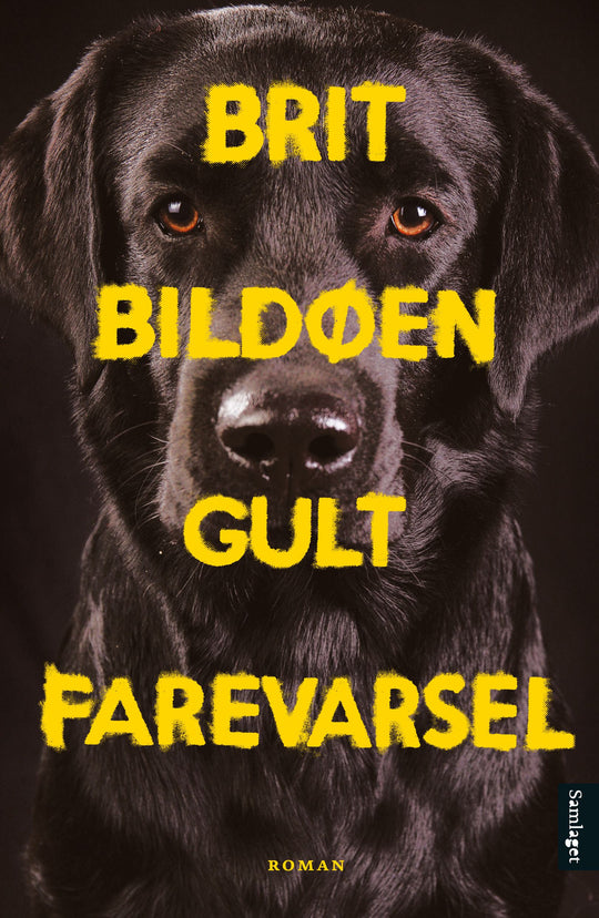Gult farevarsel: roman