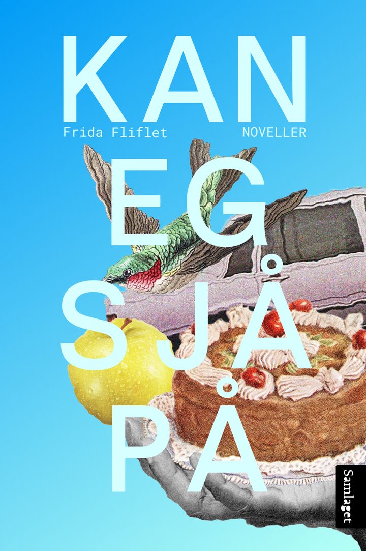 Kan eg sjå på: noveller