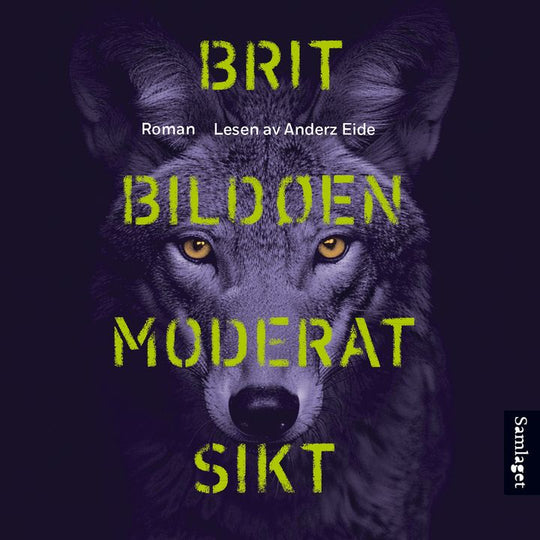 Moderat sikt: roman