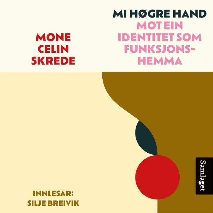 Mi høgre hand: mot ein identitet som funksjonshemma