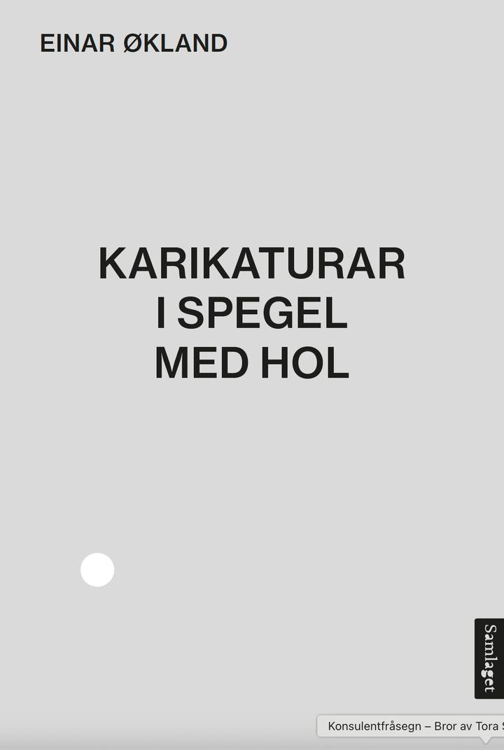 Karikaturar i spegel med hol