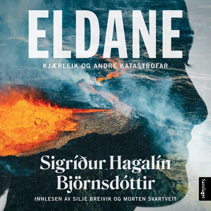 Eldane: kjærleik og andre katastrofar : roman