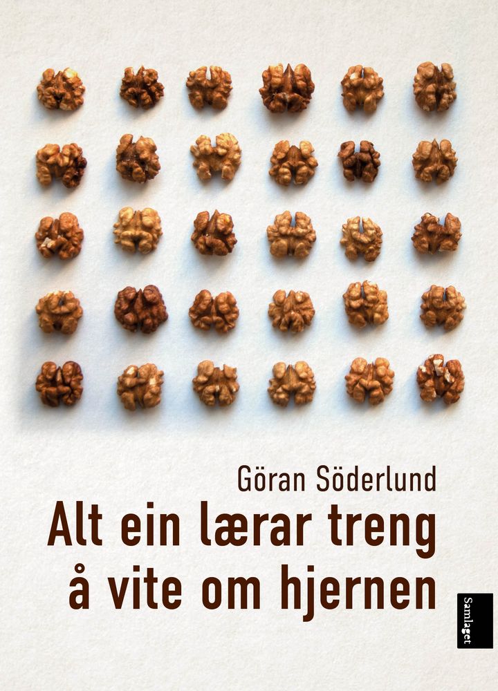 Alt ein lærar treng å vite om hjernen