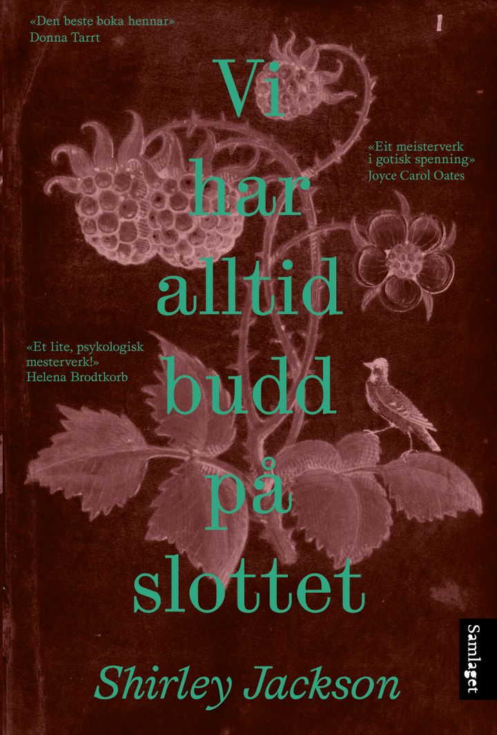Vi har alltid budd på slottet: roman