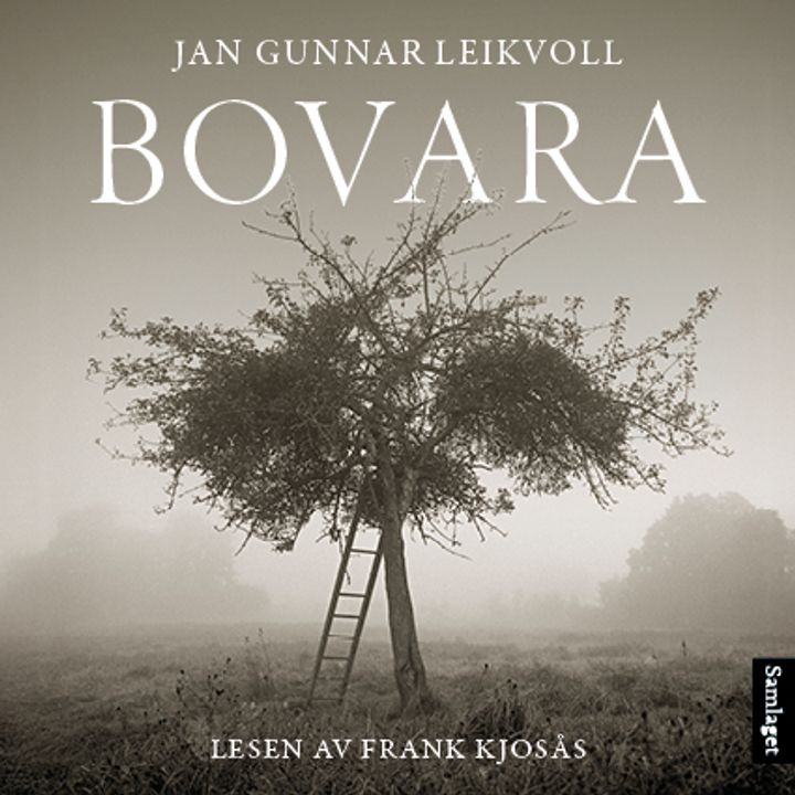 Bovara: roman