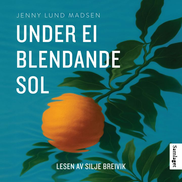 Under ei blendande sol