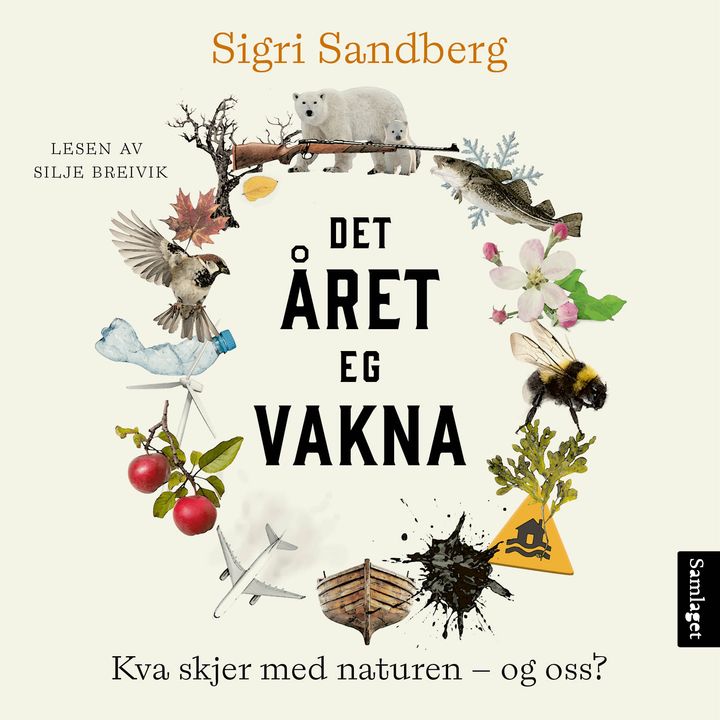 Det året eg vakna