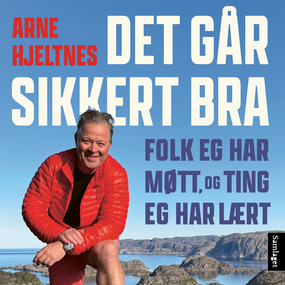 Det går sikkert bra: folk eg har møtt og ting eg har lært