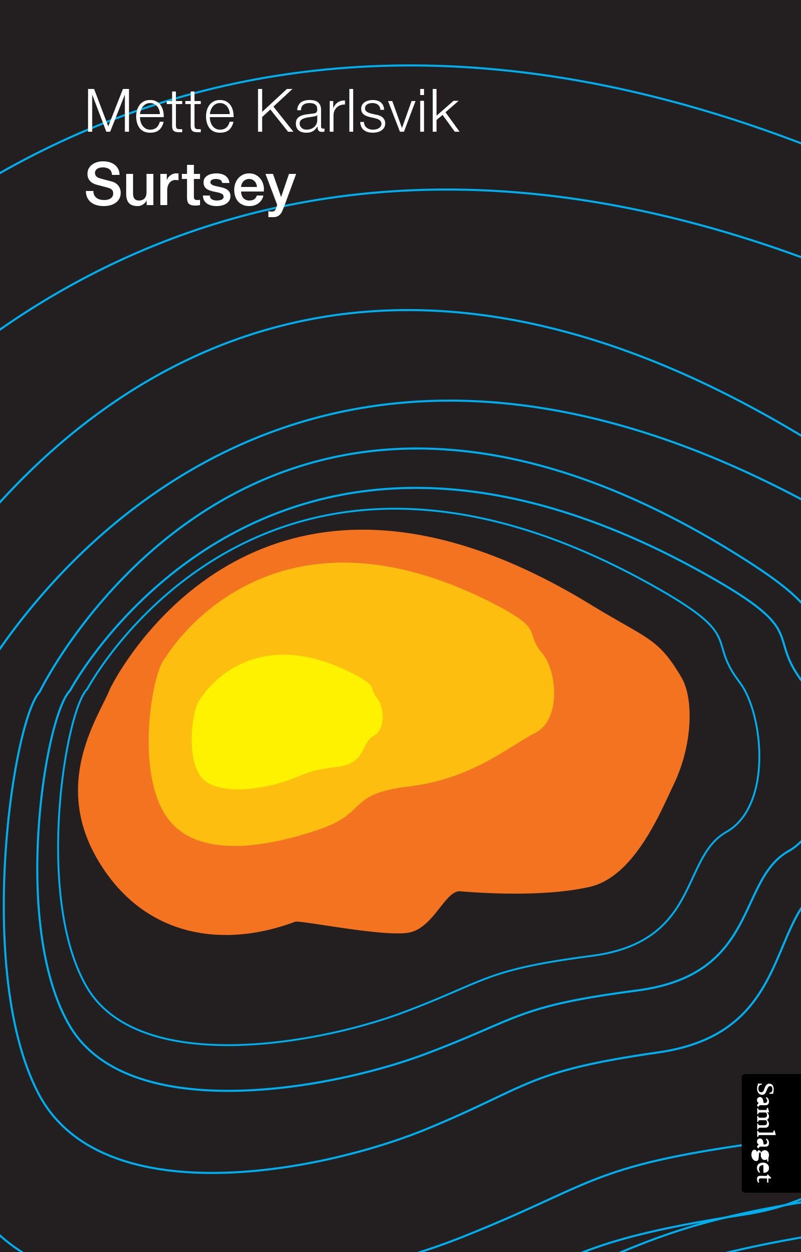 Surtsey: roman
