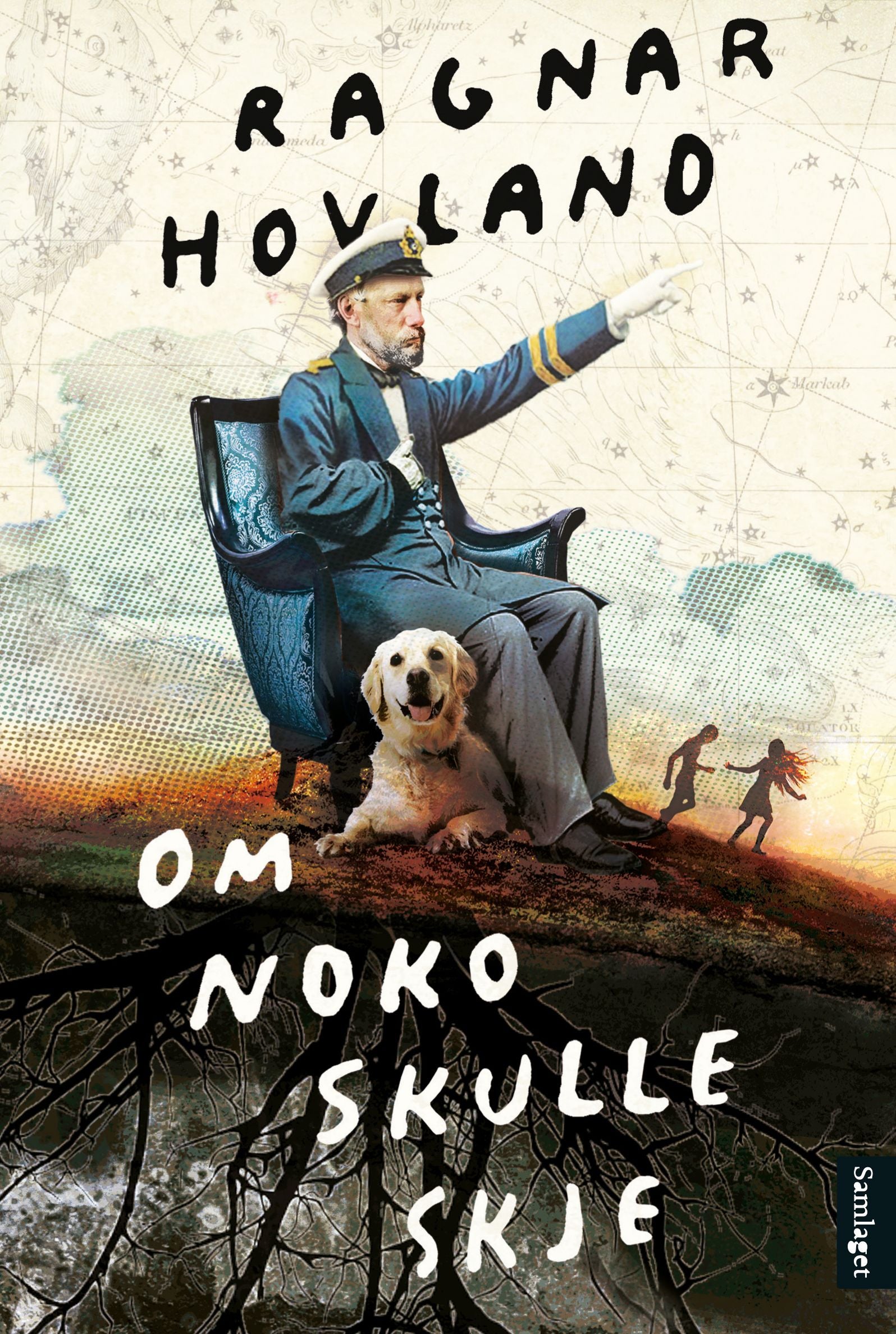 Om noko skulle skje: roman