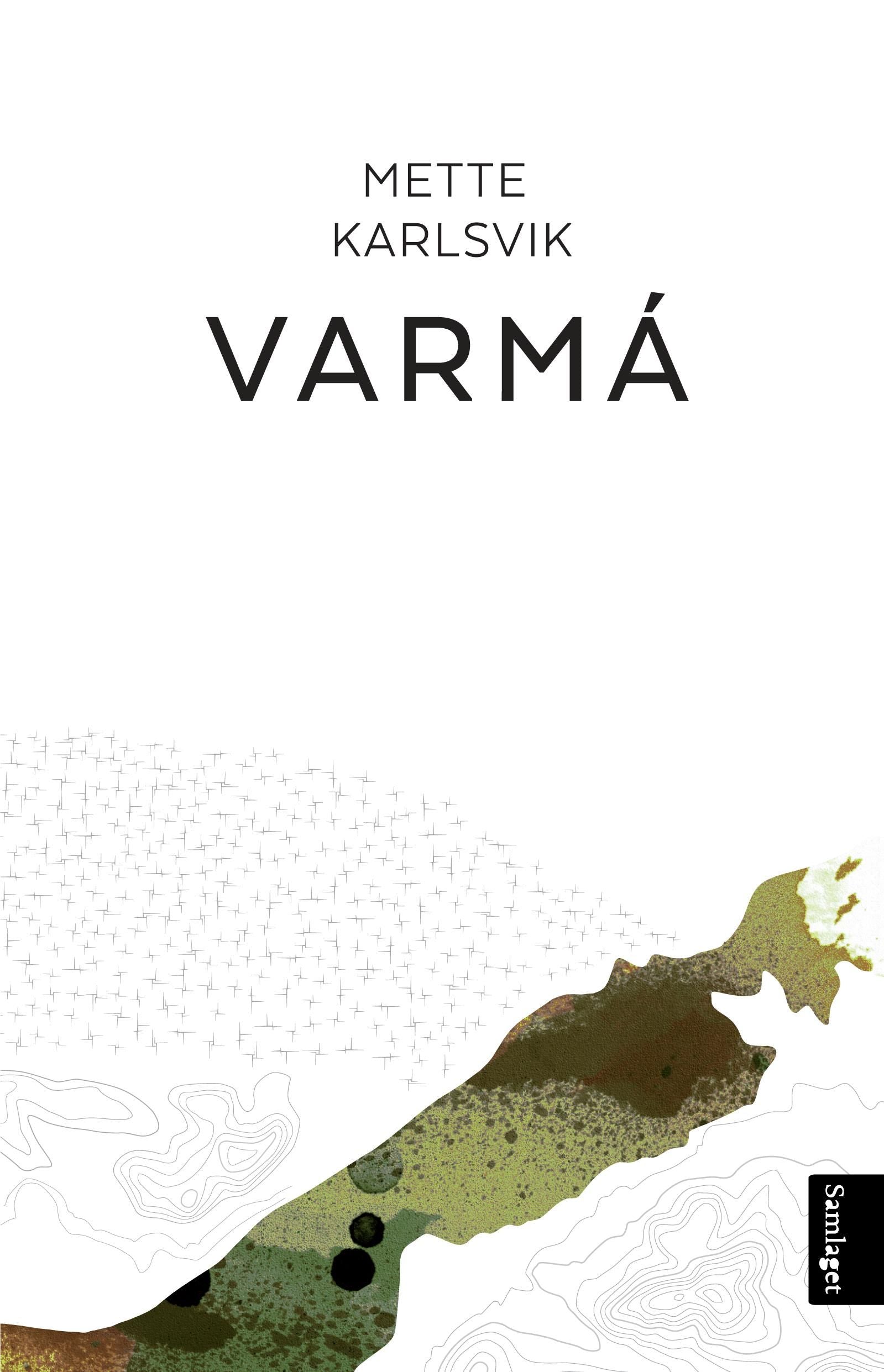 Varmá: roman