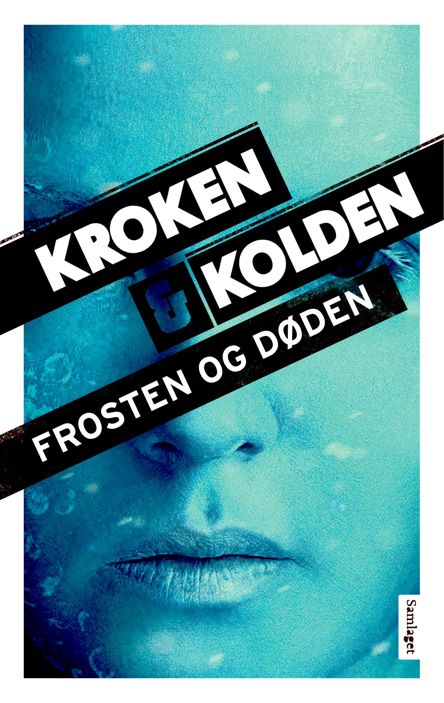 Frosten og døden: kriminalroman