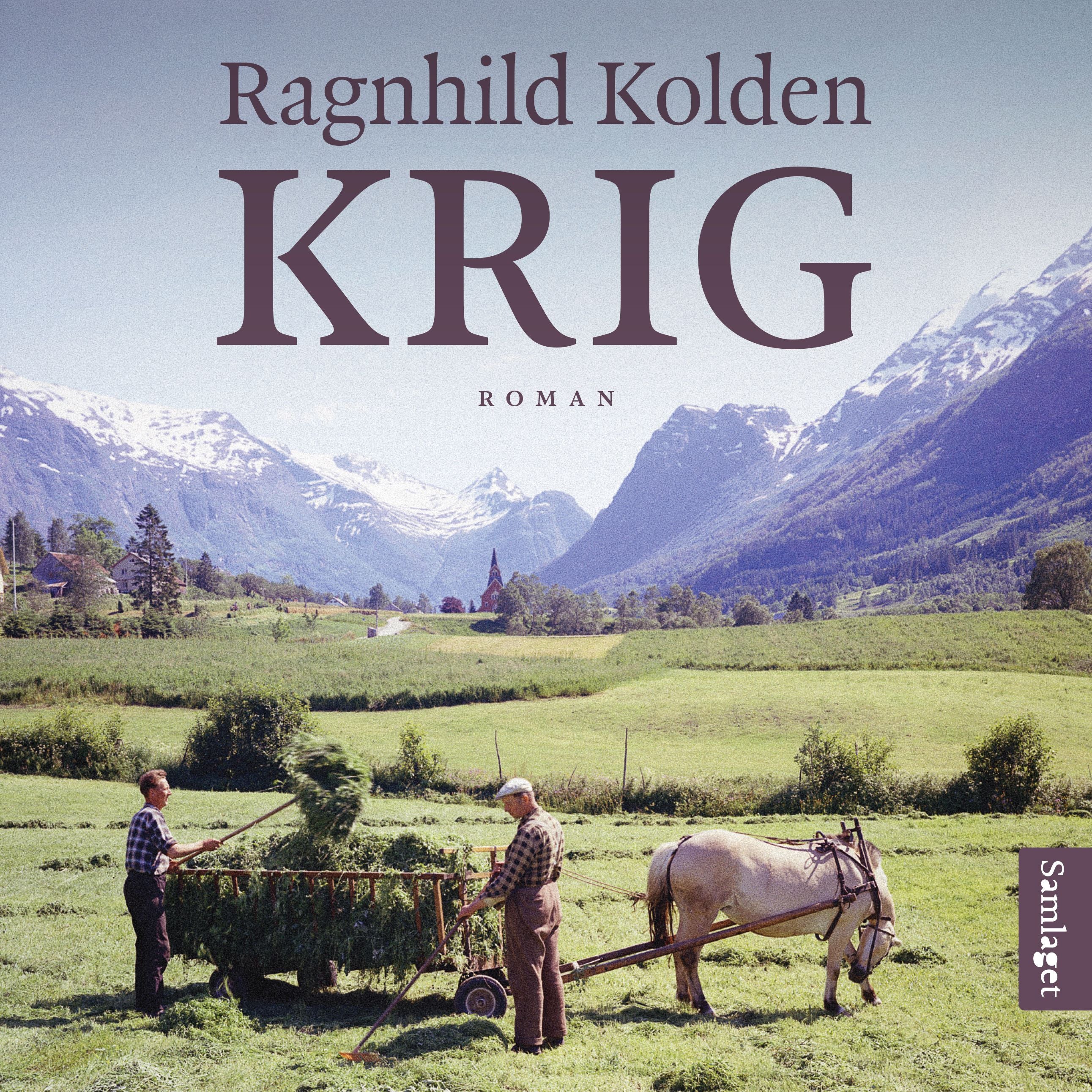 Krig: roman