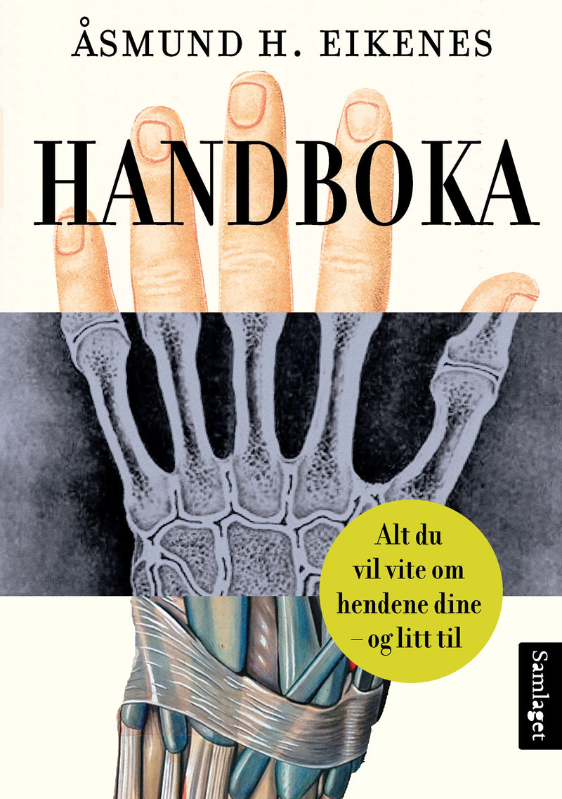 Handboka: alt du vil vite om hendene dine - og litt til