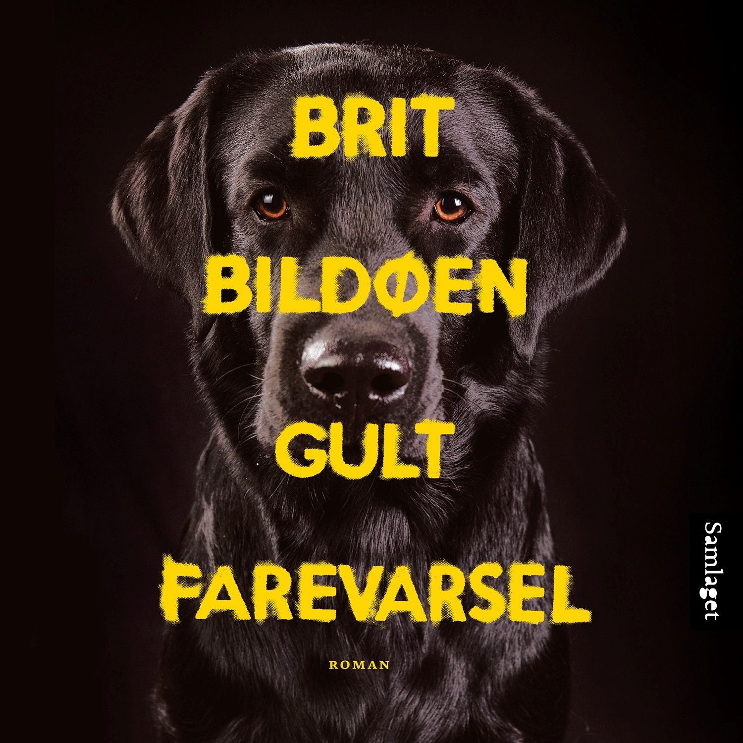 Gult farevarsel: roman