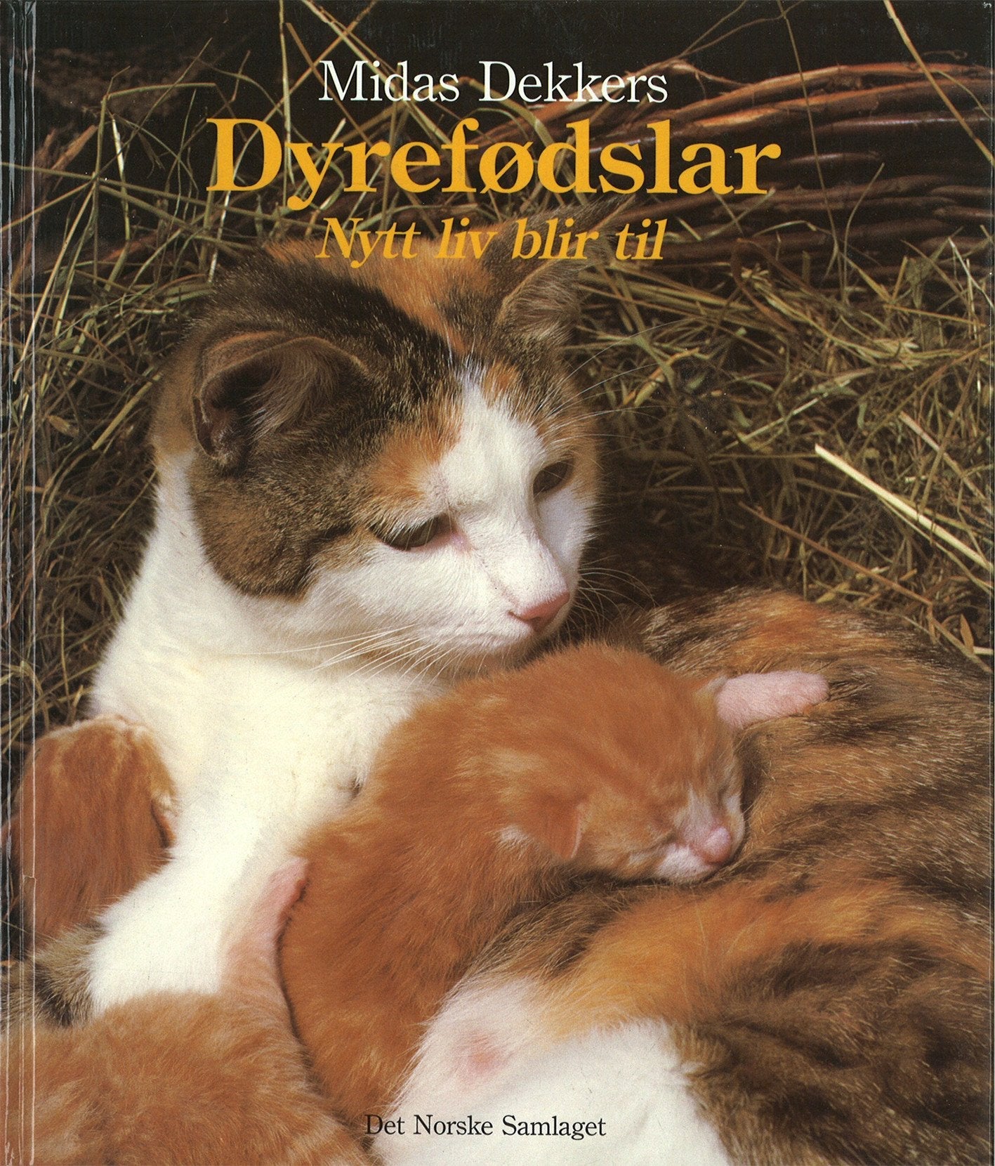Dyrefødslar