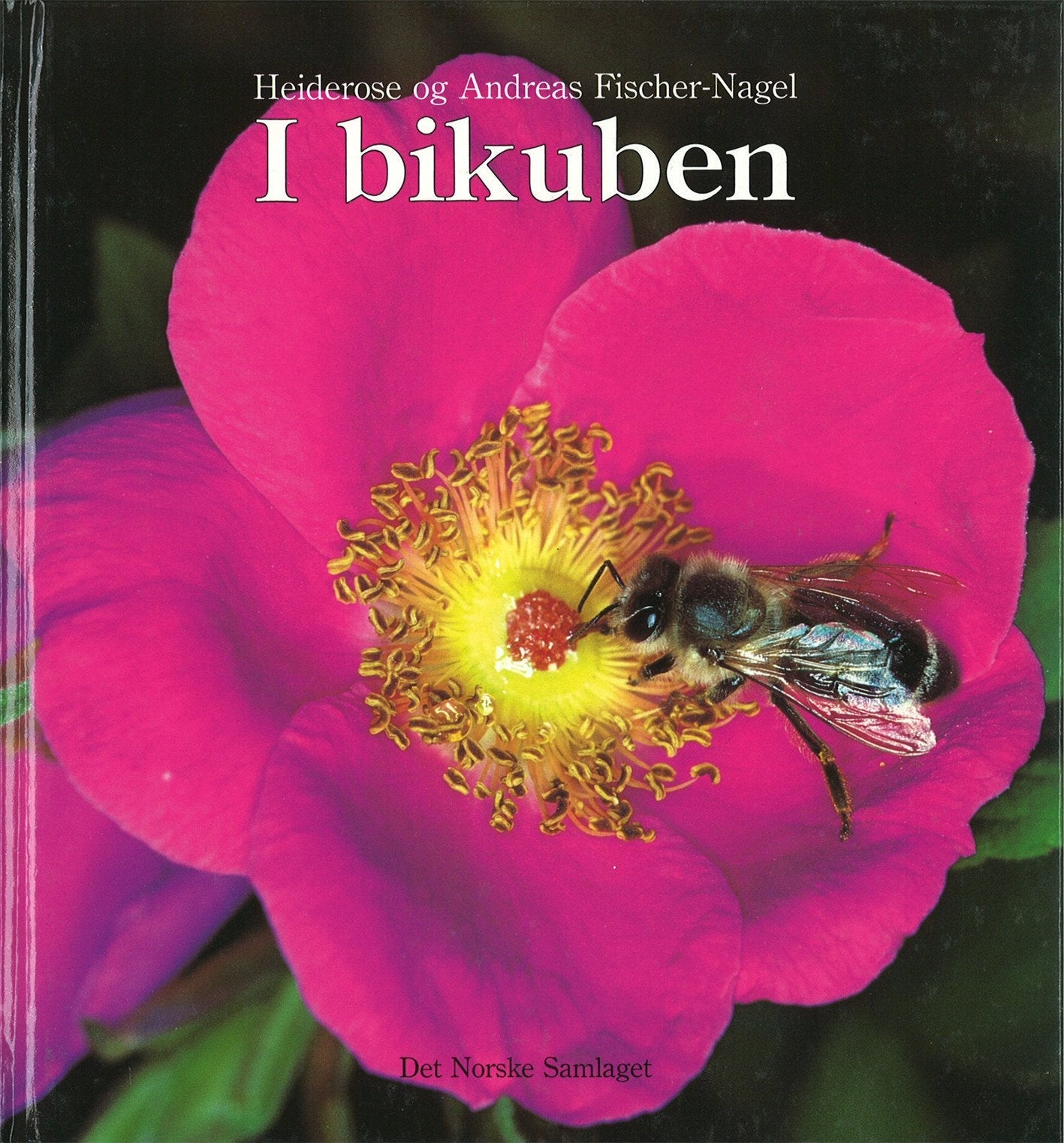 I bikuben