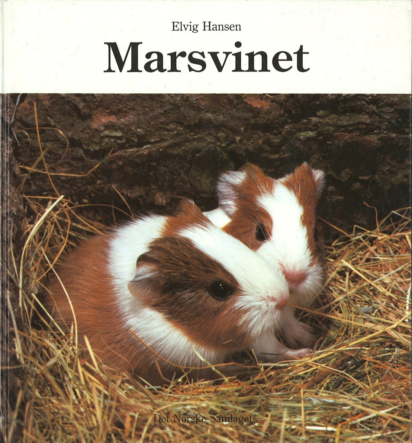 Marsvinet