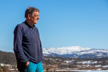 Terje Tørrisplass