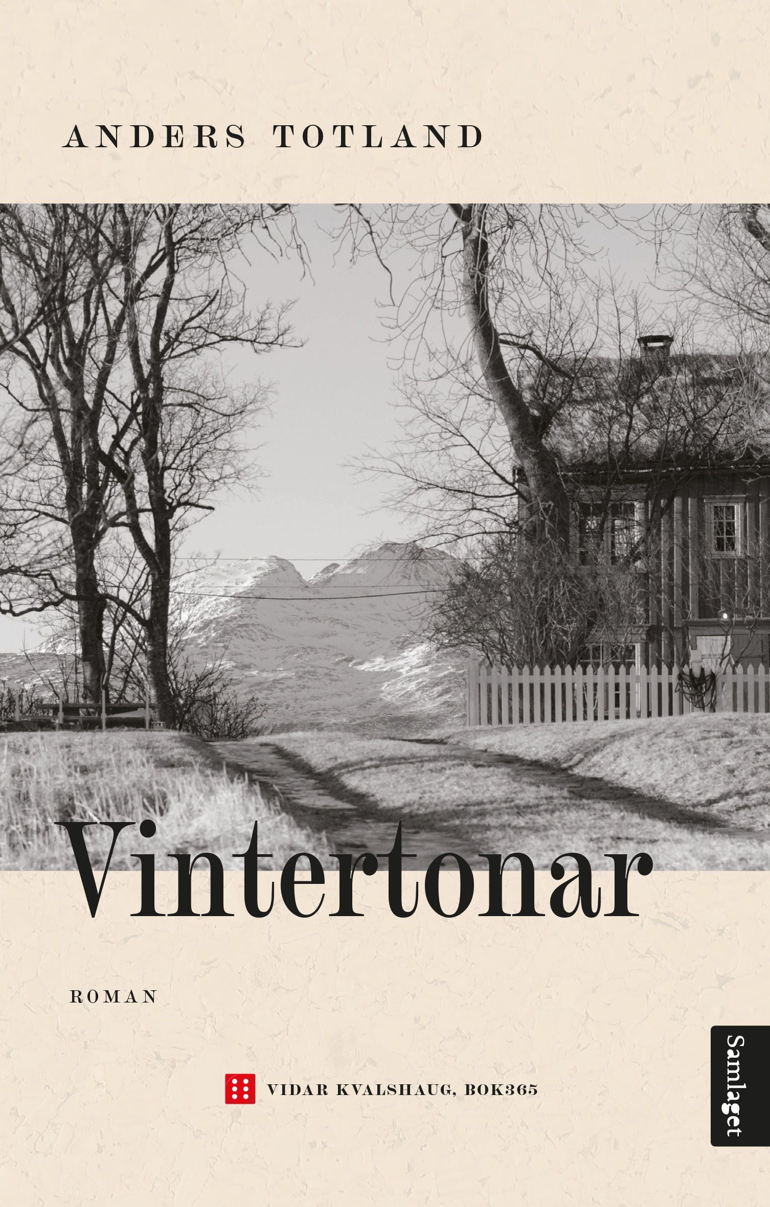 Vintertonar: roman