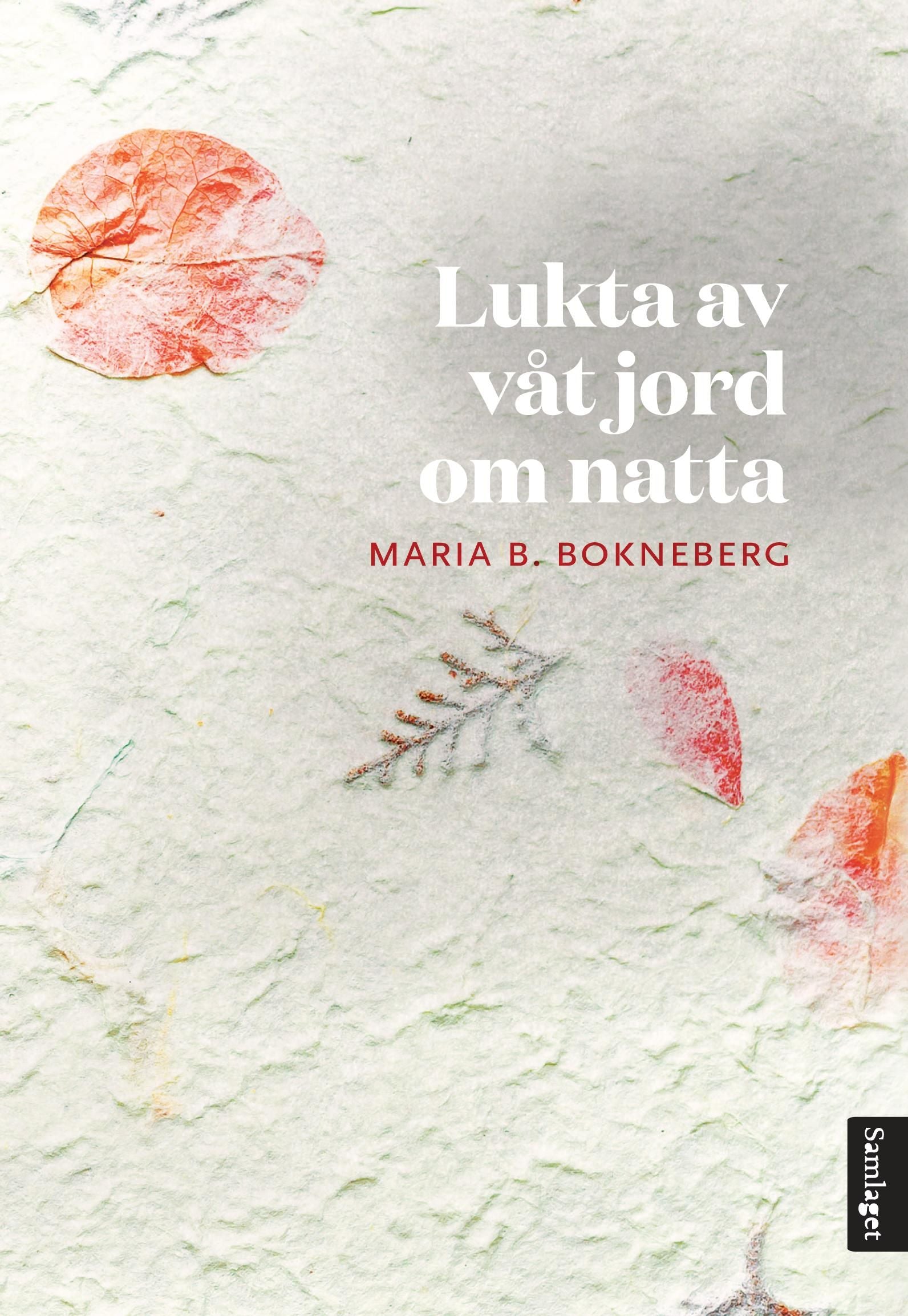 Lukta av våt jord om natta