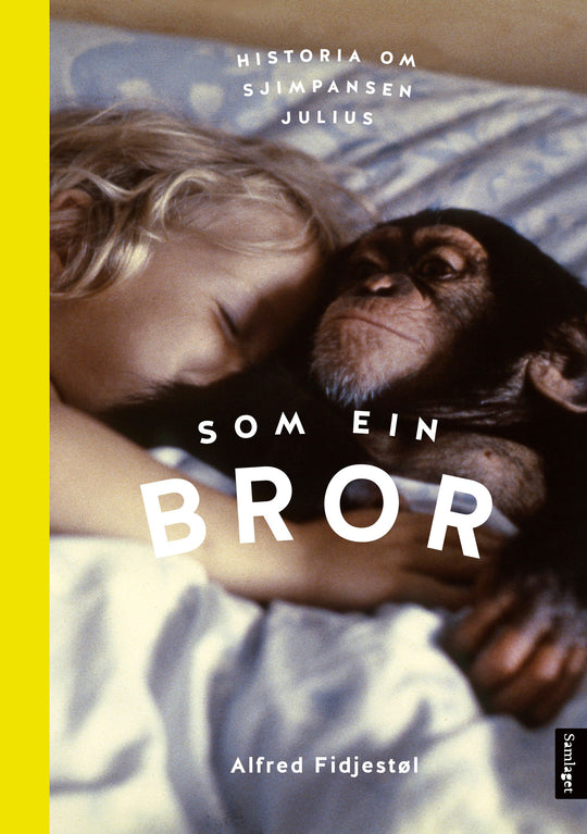 Som ein bror: historia om sjimpansen Julius