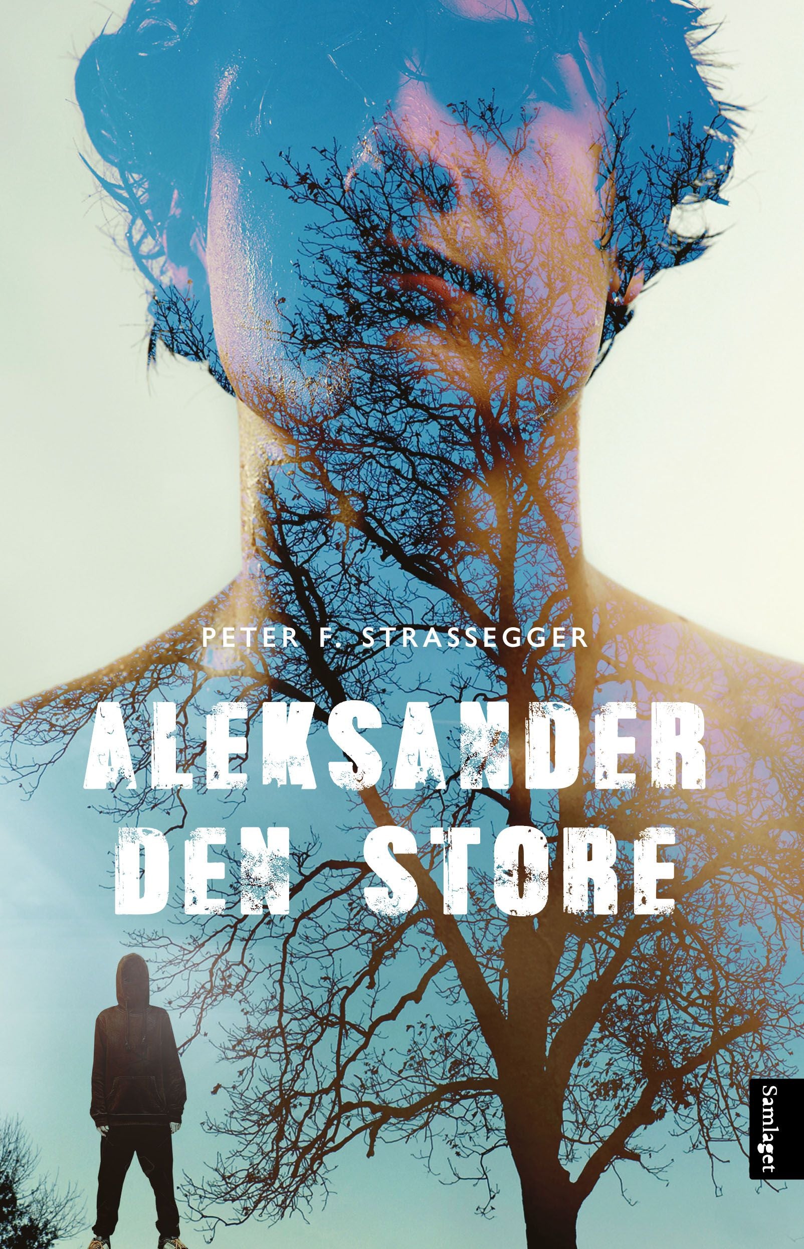 Aleksander den store: roman